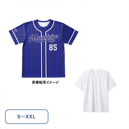 イージーオーダーポリエステルTシャツ　※オリジナルのみ